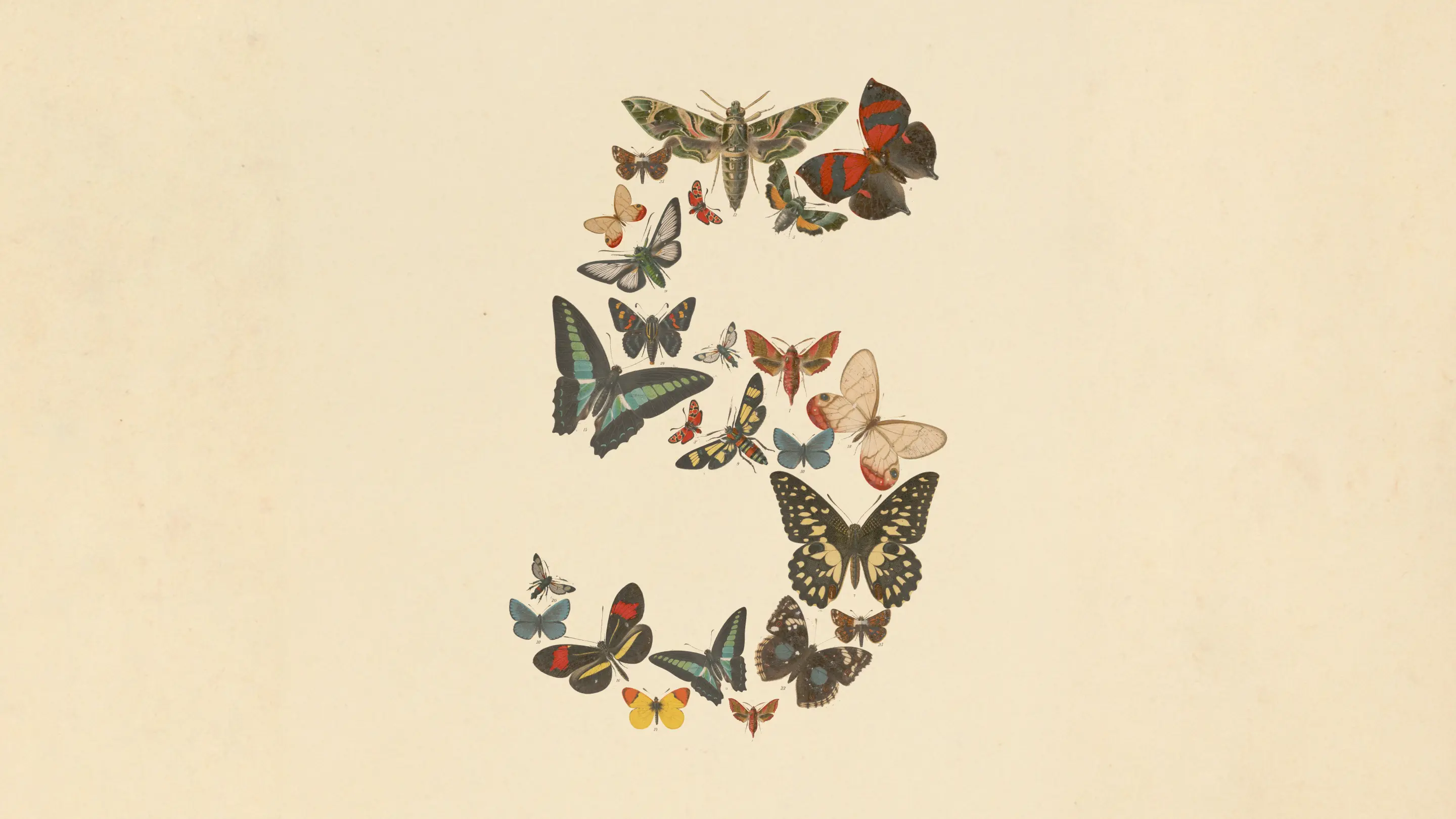 Anthropic 重磅发布 Claude Fable 5：Mythos 级最强通用模型正式亮相